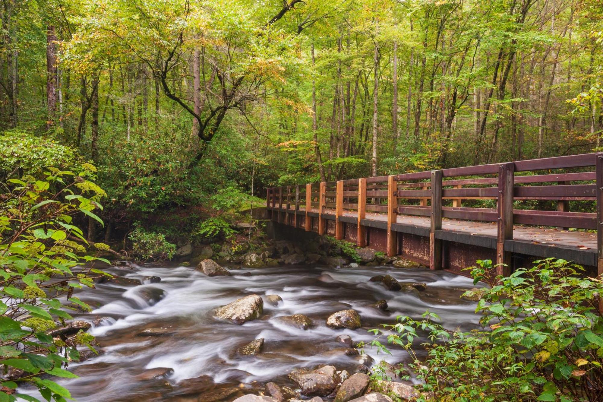 The Mason Jar, Hot Tub, Wifi, 1089 Free Tickets Each Paid Day, Dollywood And More! Pigeon Forge Exteriör bild